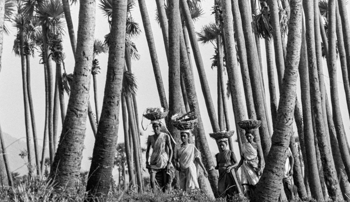 Women's Work Powers the World