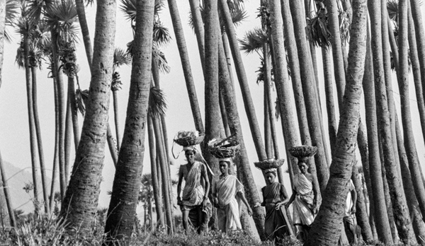 Women's Work Powers the World